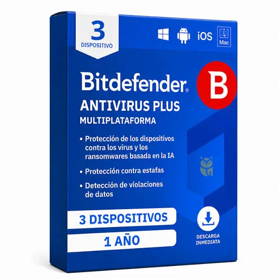 bit.webp